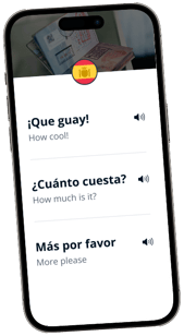 Phrasebook Phone